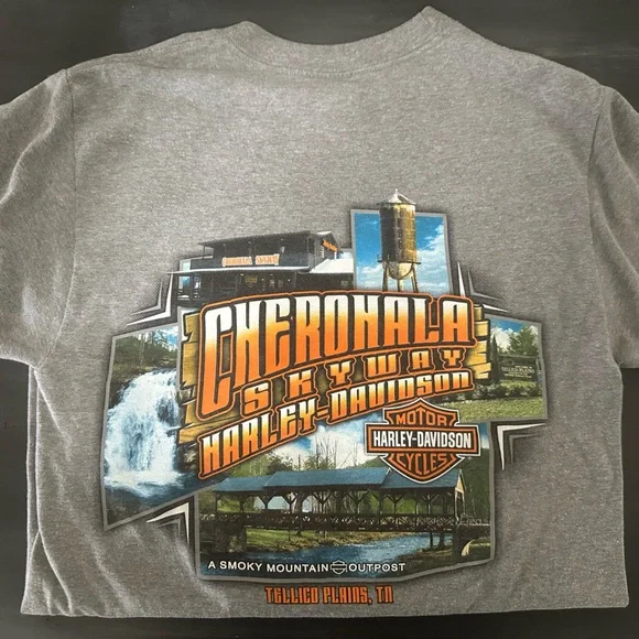Harley-Davidson distressed logo t-shirt, gray short-sleeve.  Cherohala Skyway. - Picture 3 of 6